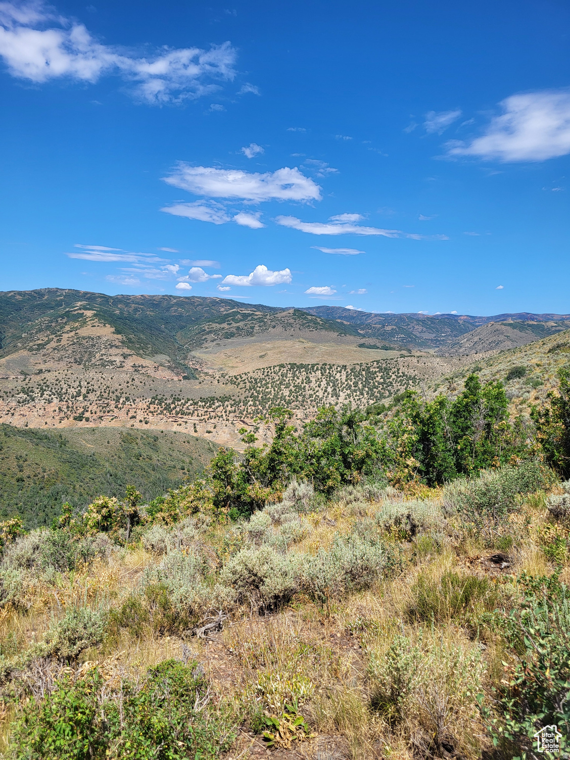 ECHO CREEK RANCH - Land