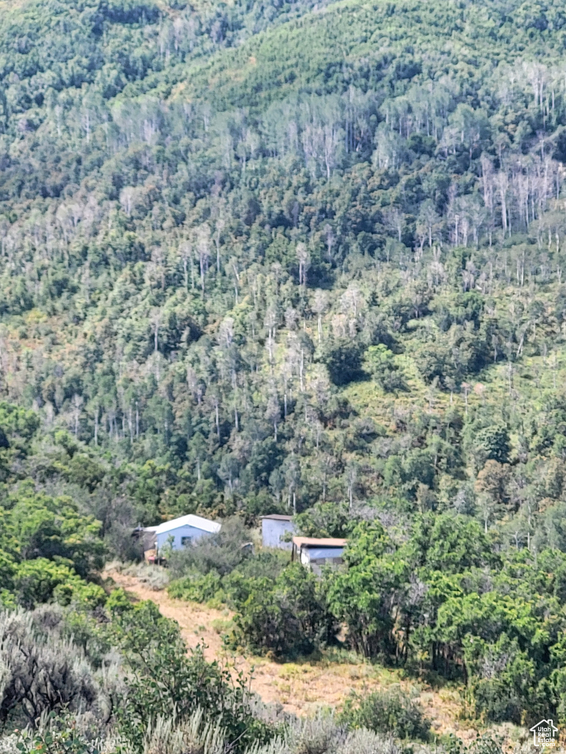 ECHO CREEK RANCH - Land
