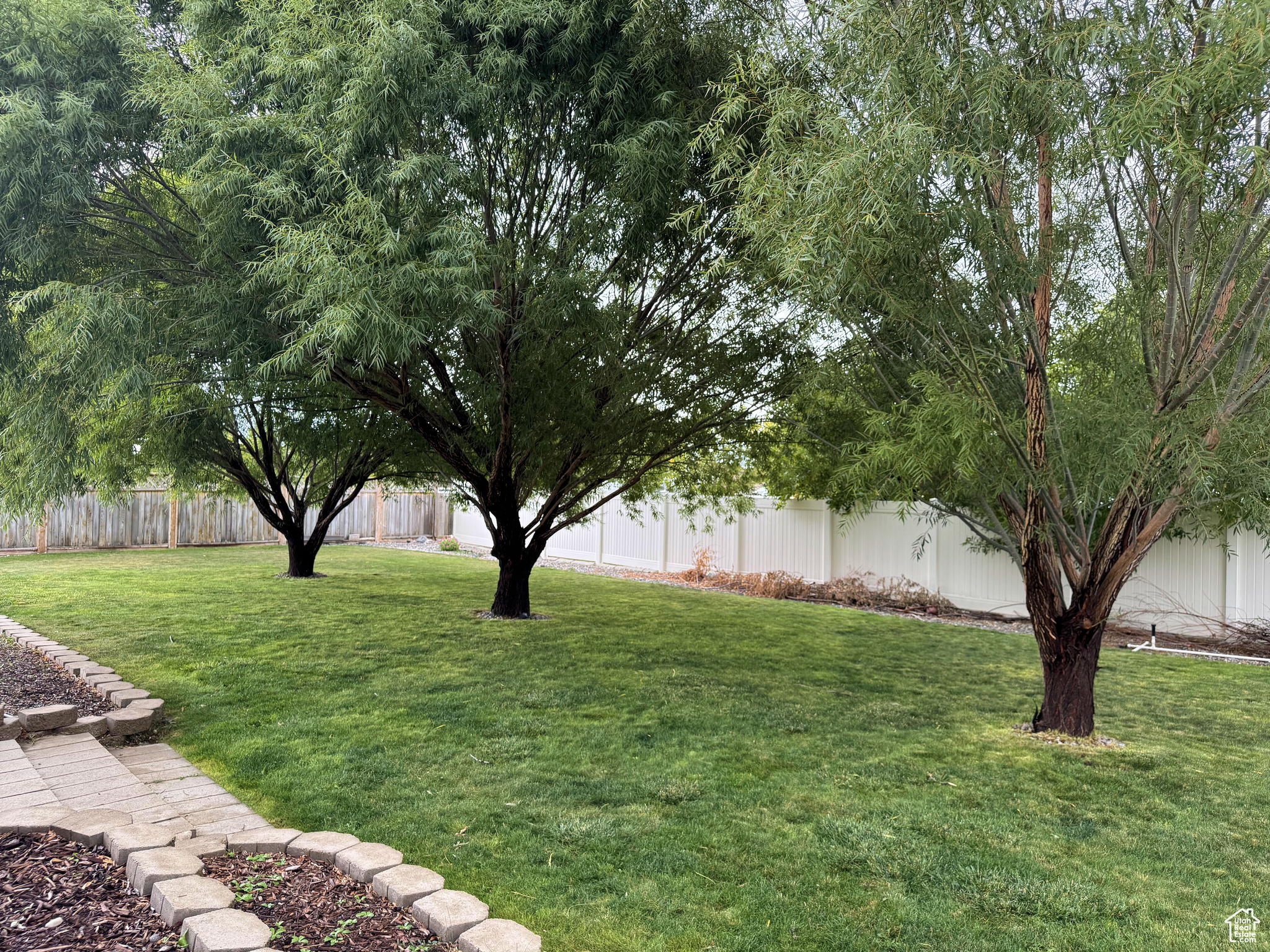 CLOVER FIELD - Residential