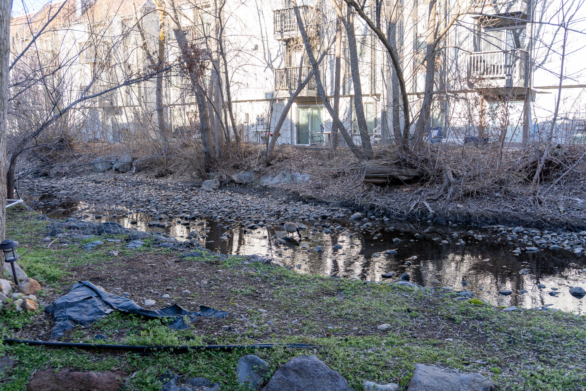 THE WILLOWBROOK CONDO - Residential