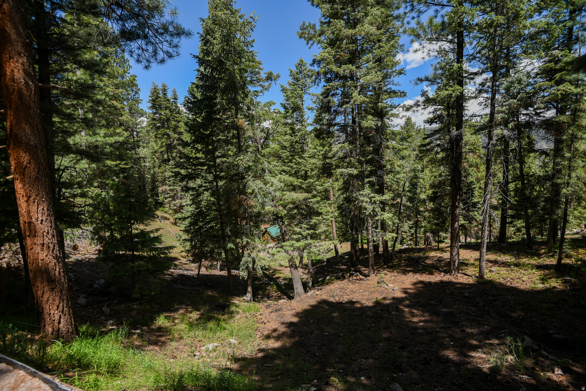 WHISPERING PINES - Land