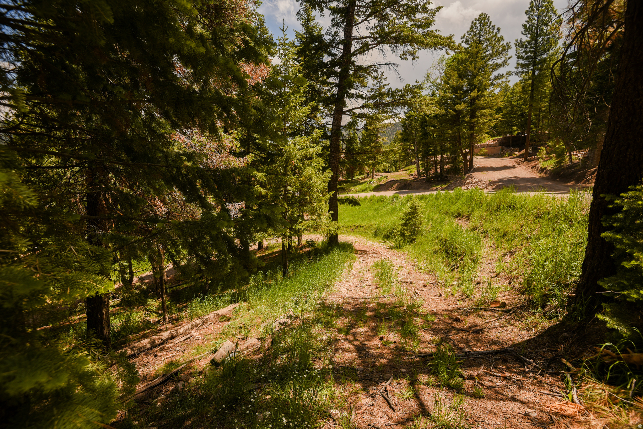 WHISPERING PINES - Land