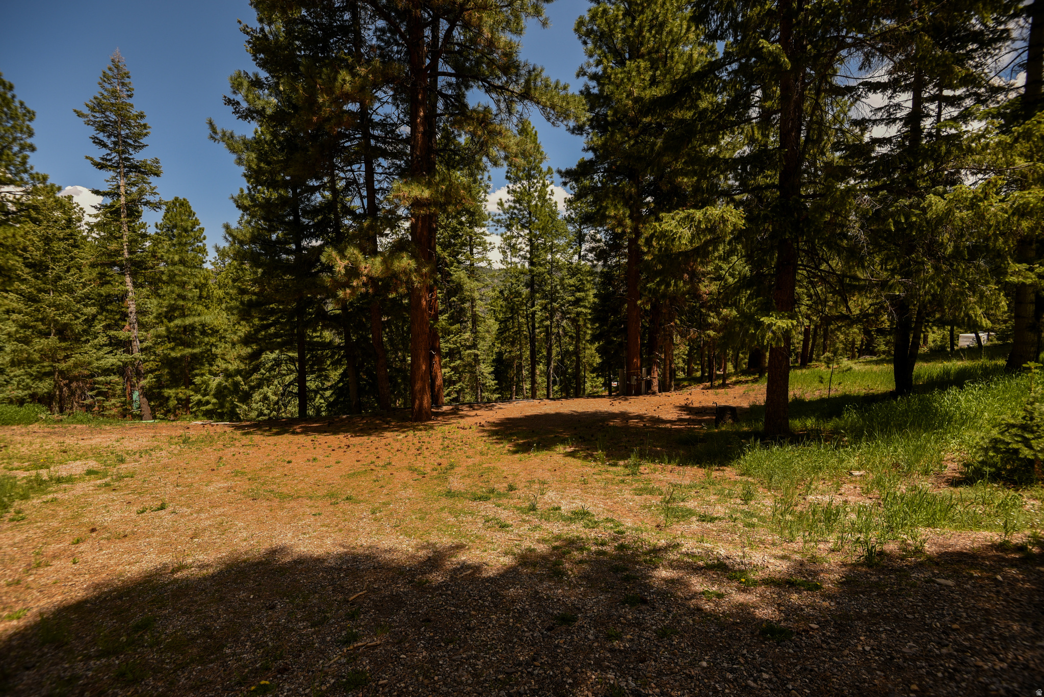 WHISPERING PINES - Land