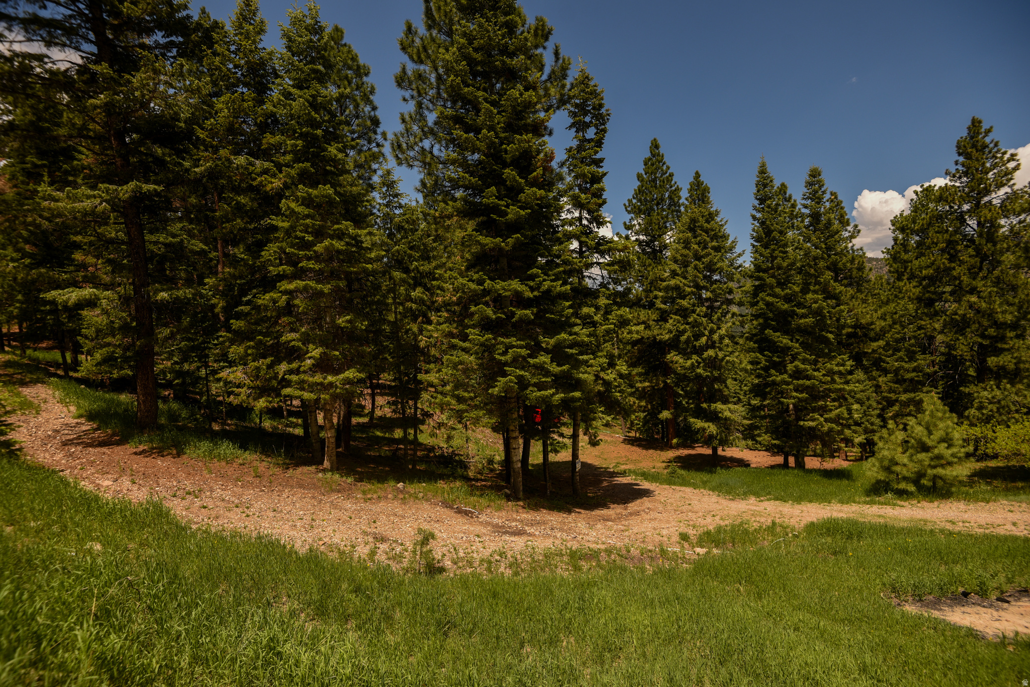 WHISPERING PINES - Land