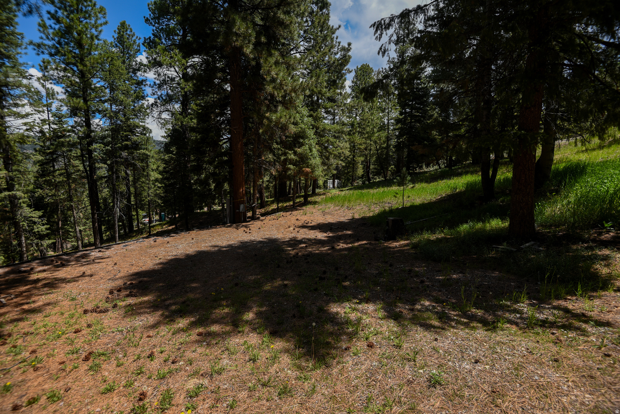 WHISPERING PINES - Land