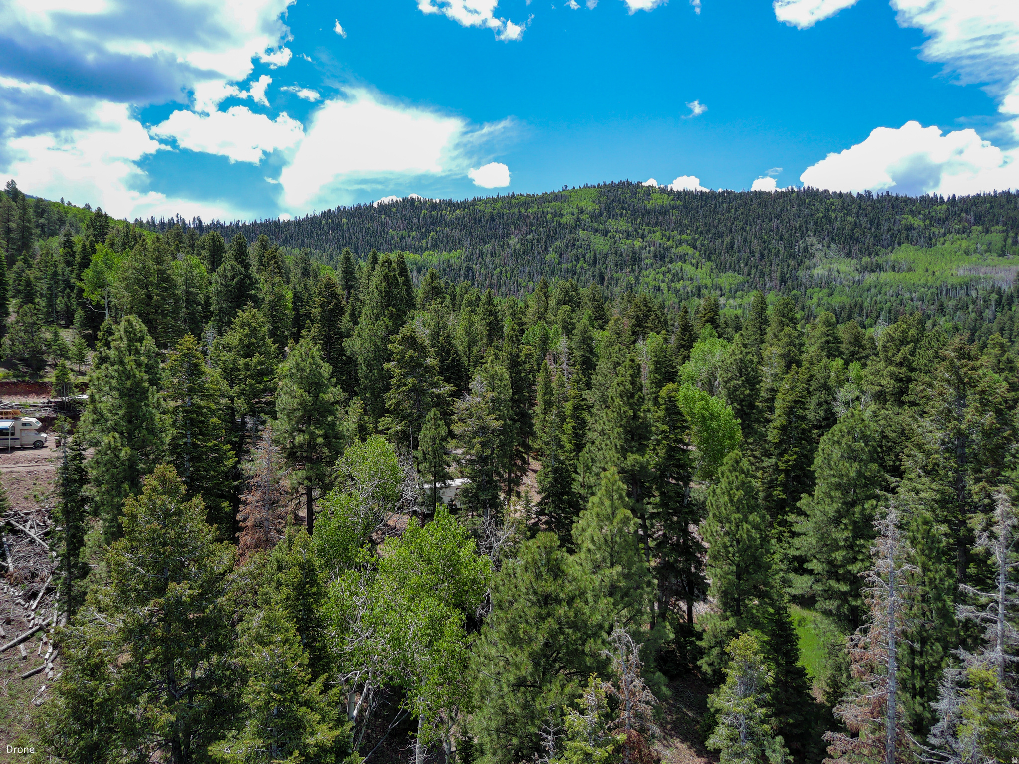 WHISPERING PINES - Land