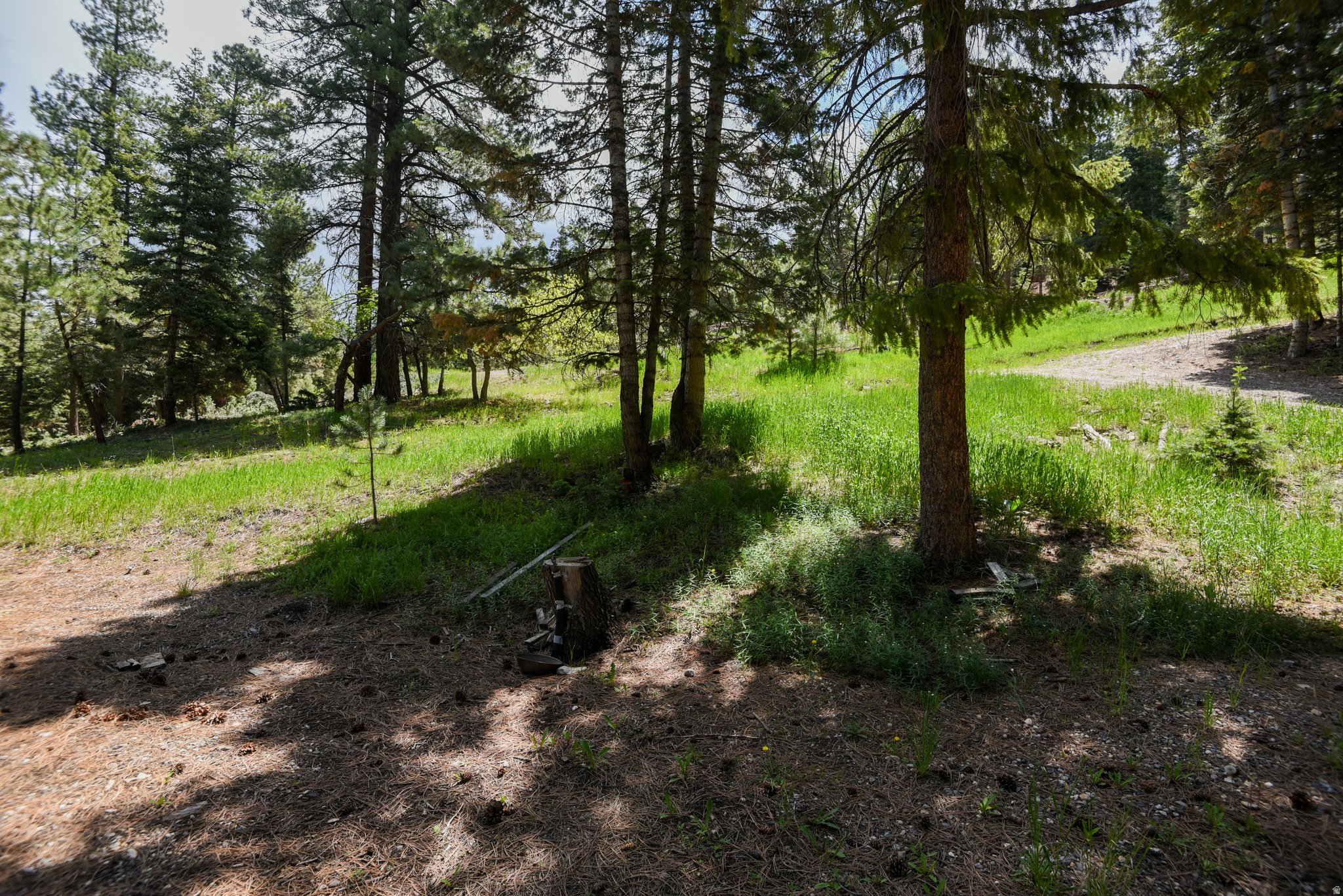 WHISPERING PINES - Land