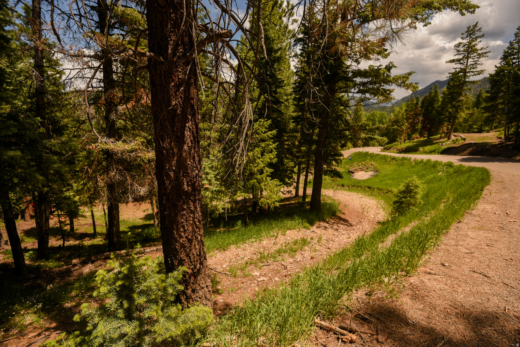 WHISPERING PINES - Land