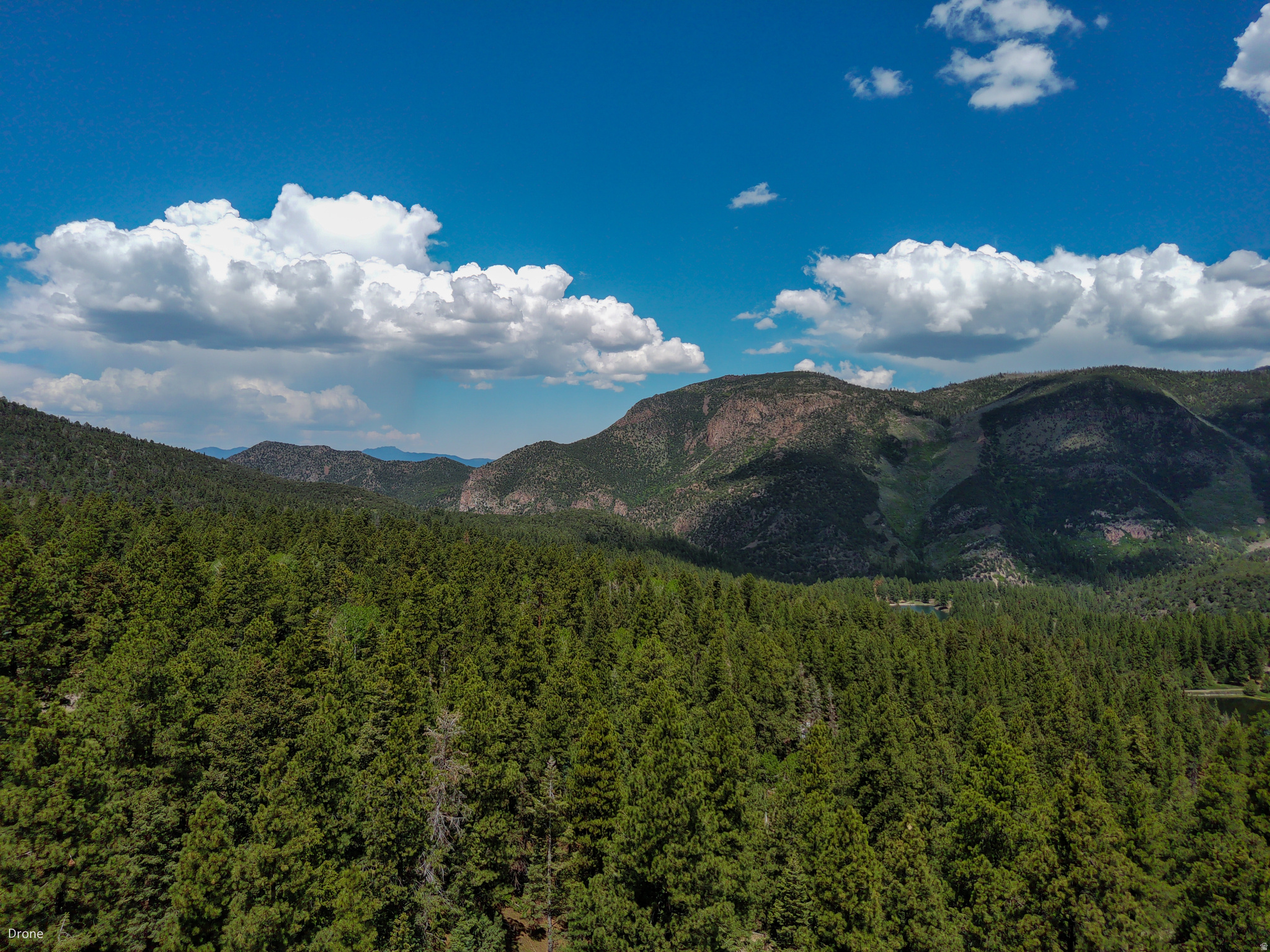 WHISPERING PINES - Land