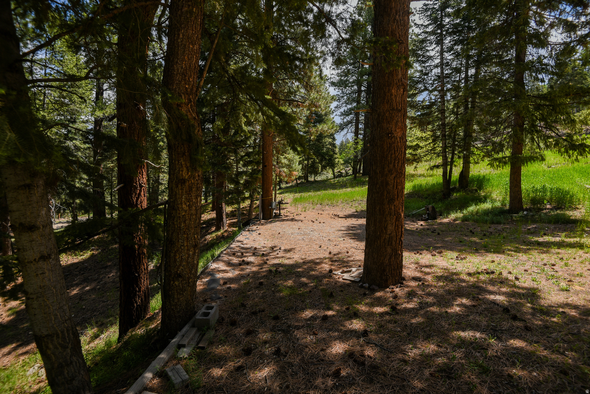 WHISPERING PINES - Land