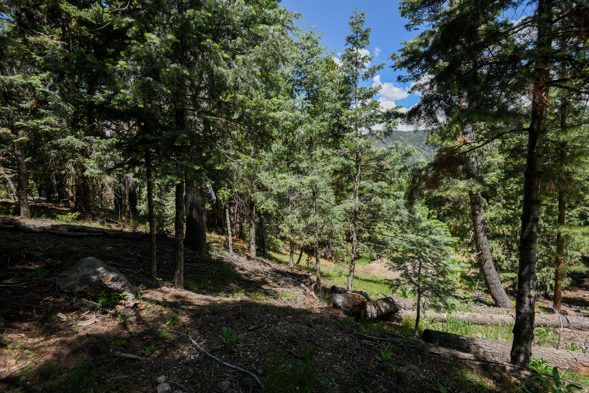 WHISPERING PINES - Land