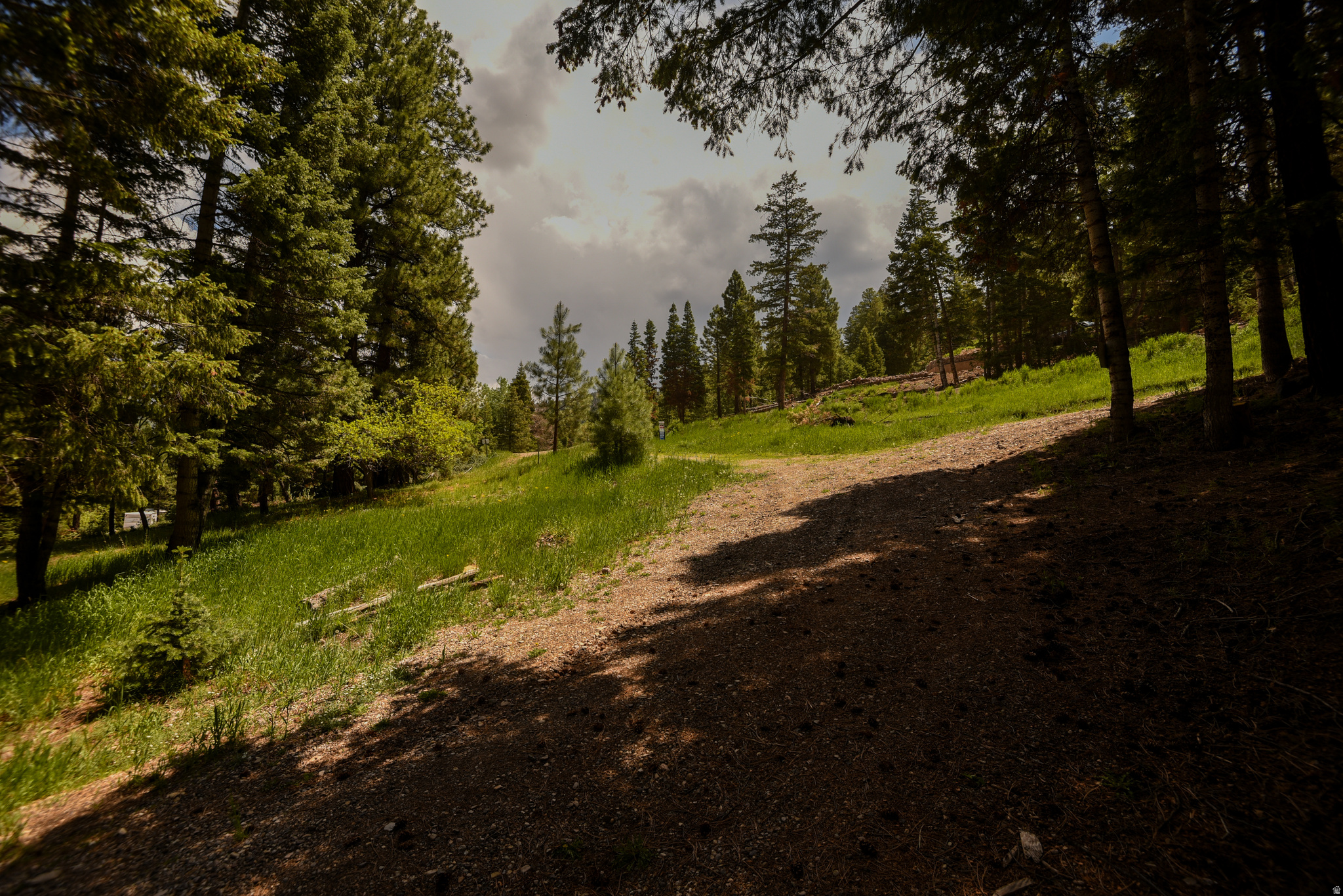 WHISPERING PINES - Land