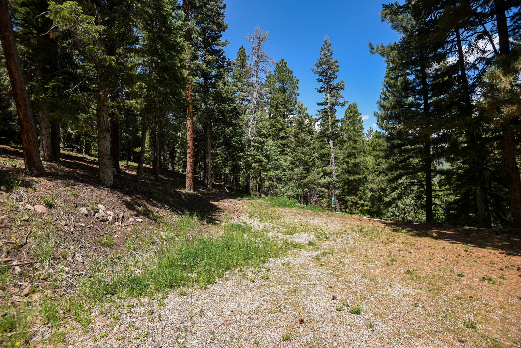 WHISPERING PINES - Land