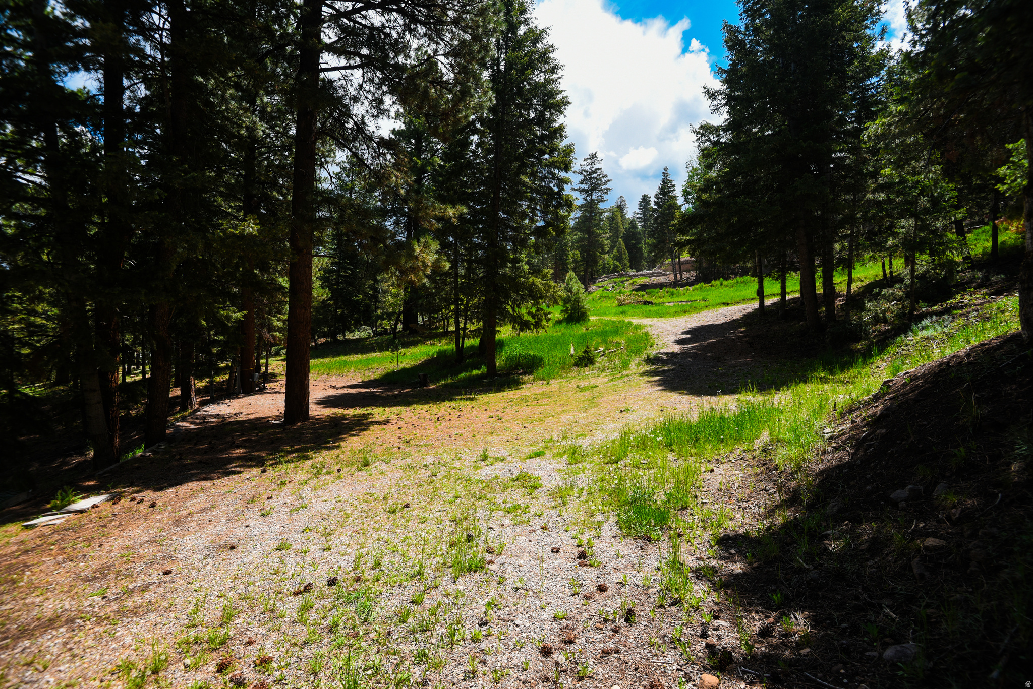 WHISPERING PINES - Land