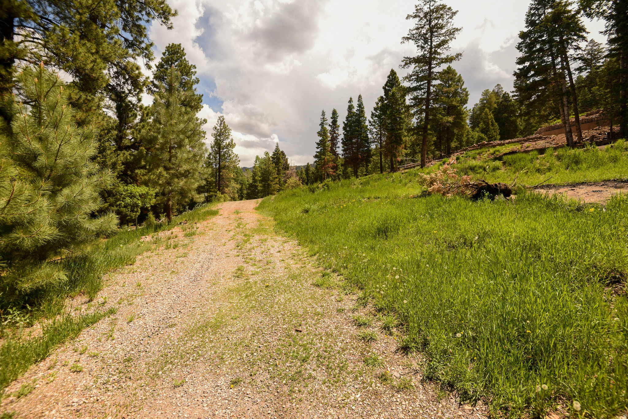 WHISPERING PINES - Land