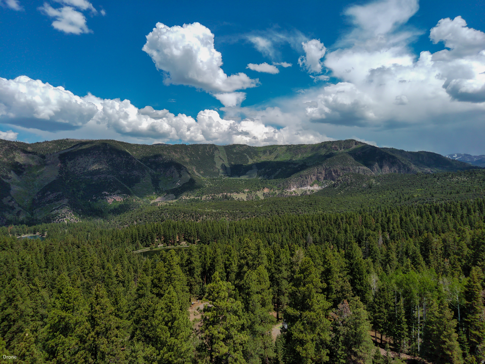 WHISPERING PINES - Land