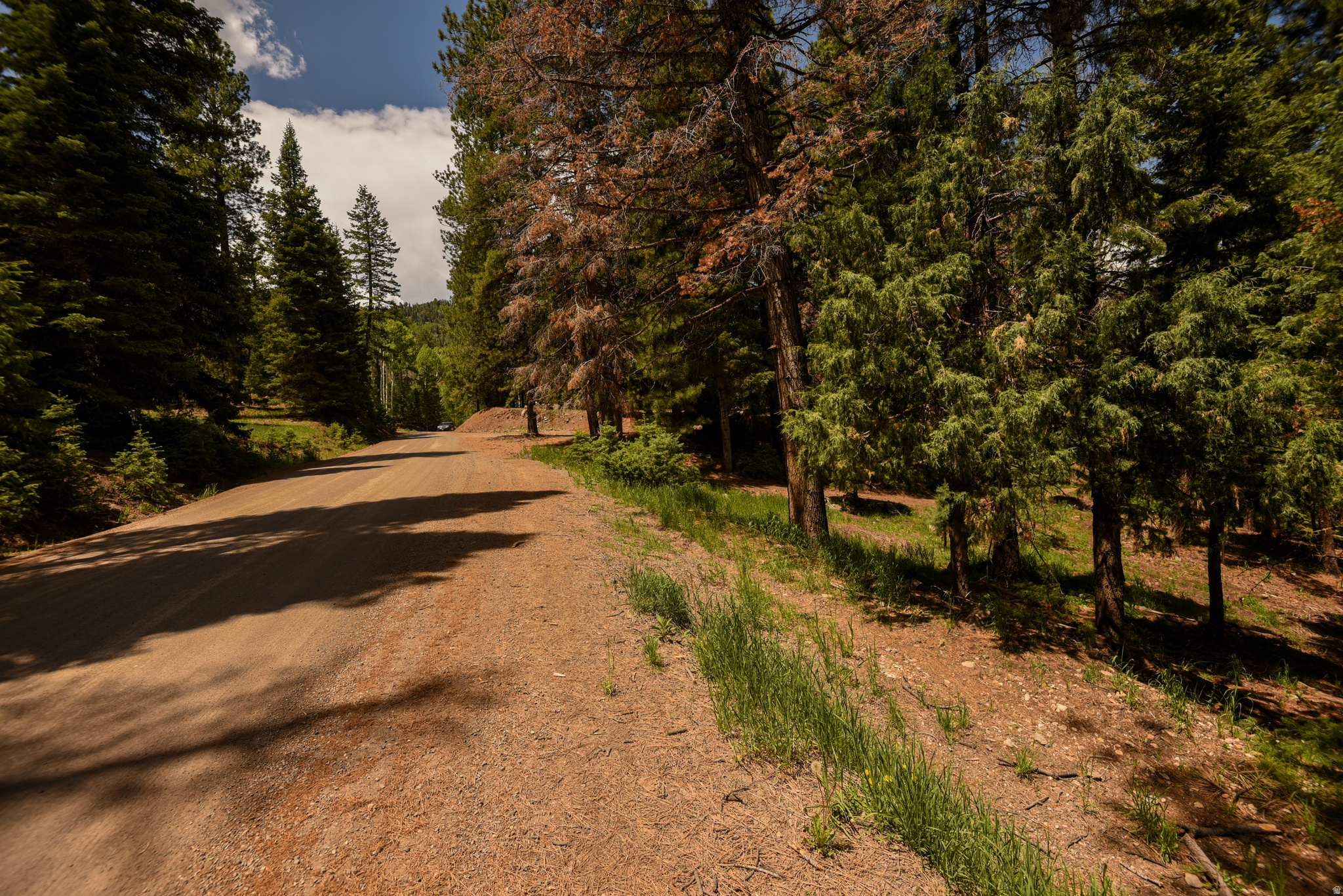 WHISPERING PINES - Land