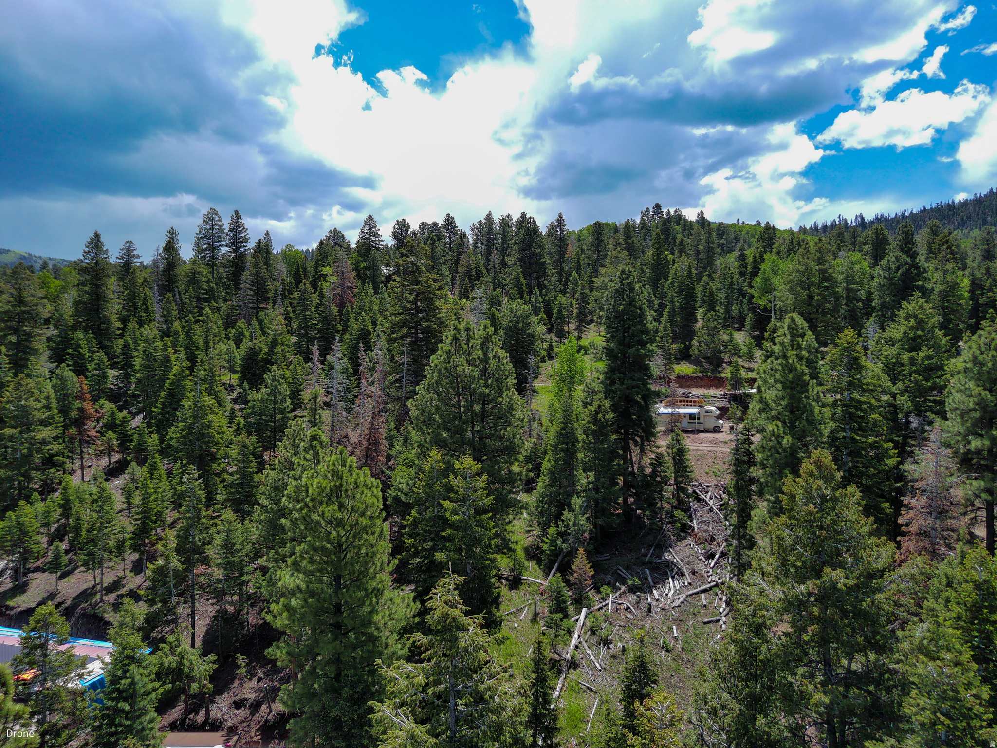 WHISPERING PINES - Land