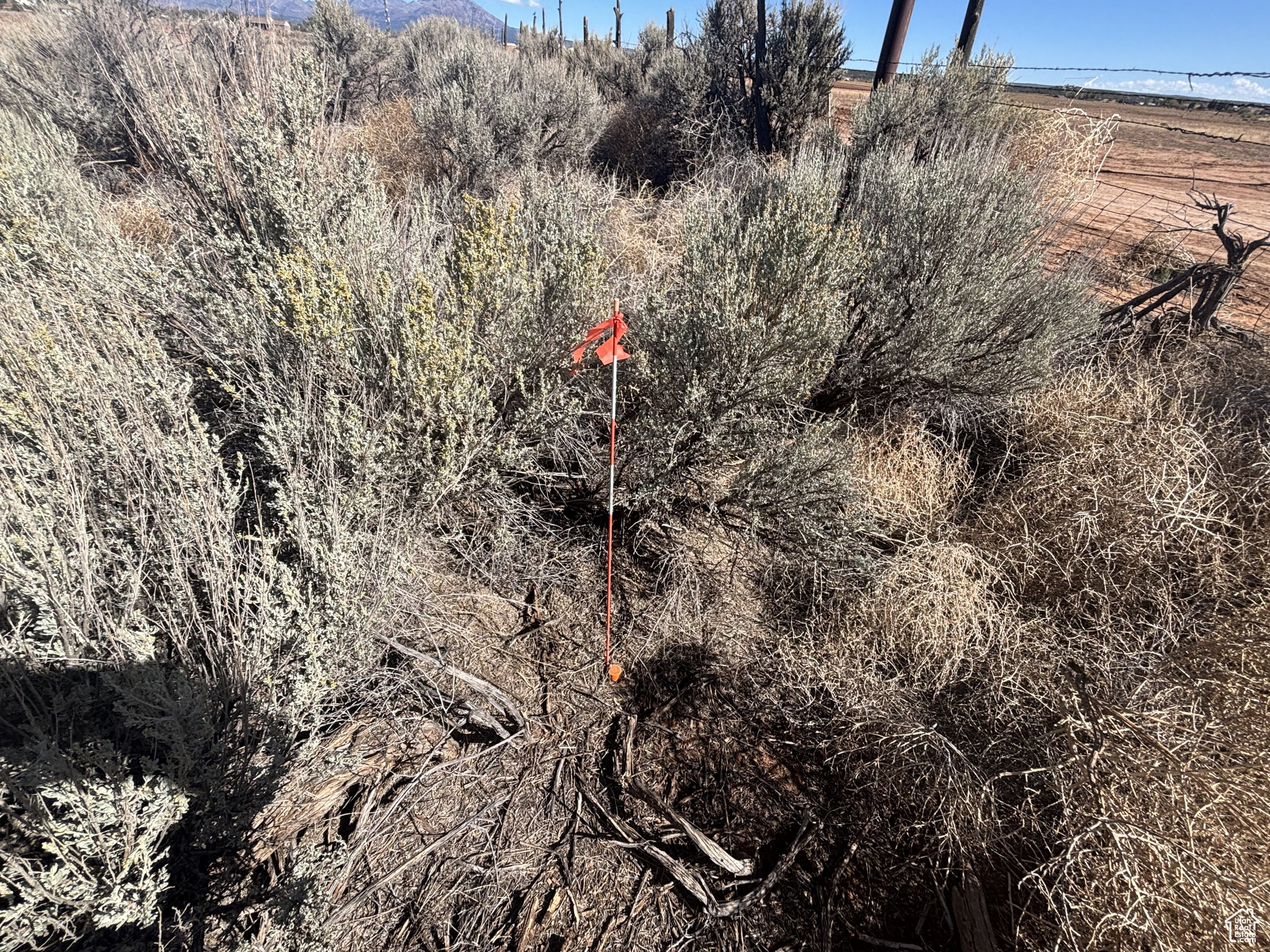 Blanding, Utah 84511, United States, ,Land,Active,234469