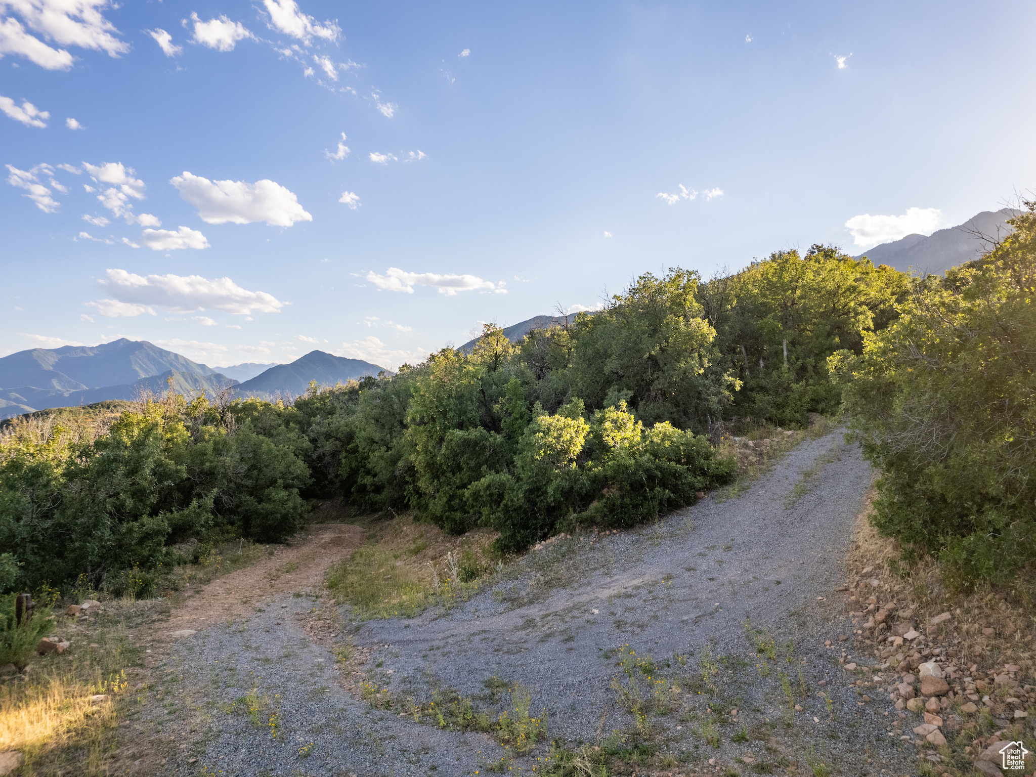 SPRINGWOOD MTN HOME - Land