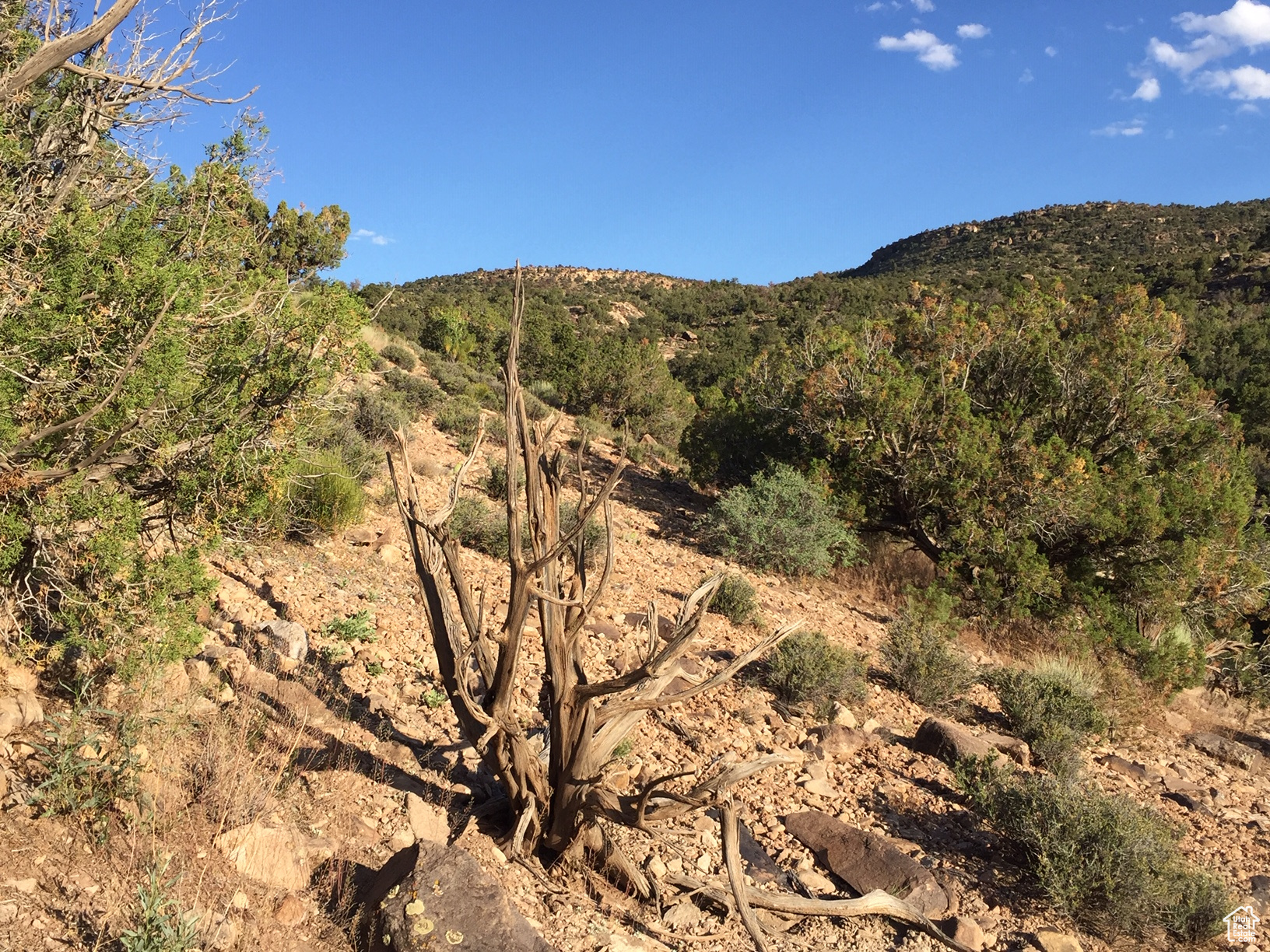 KANE CREEK CANYON ES - Land