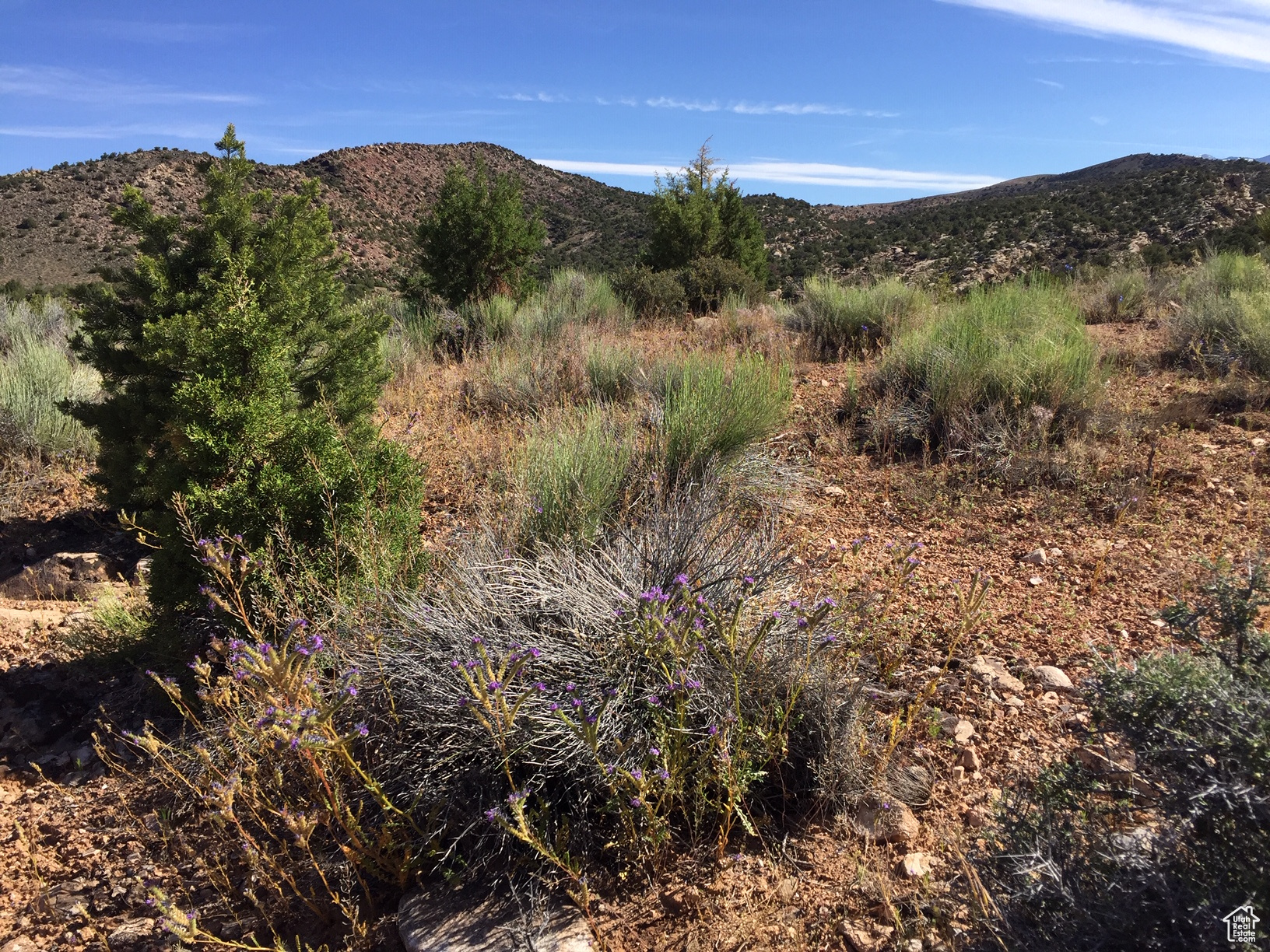 KANE CREEK CANYON ES - Land