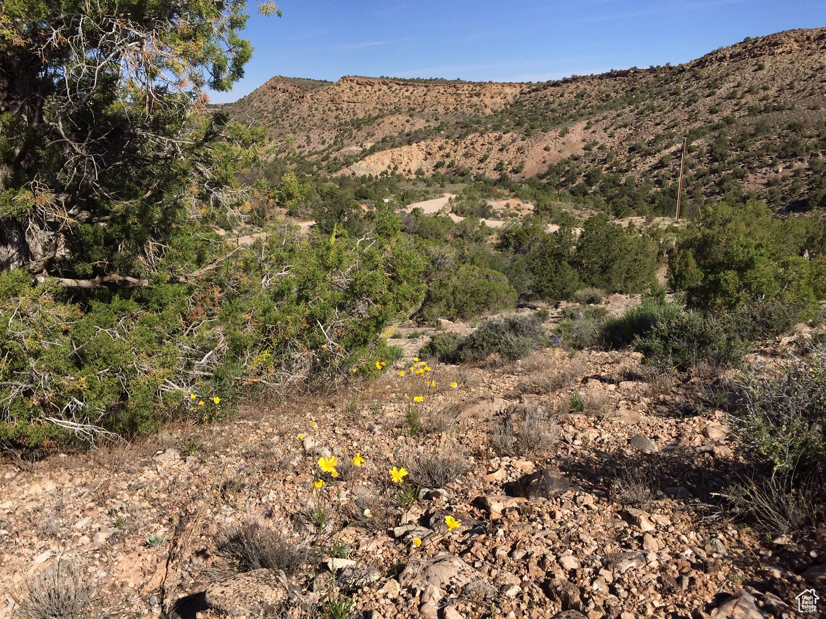 KANE CREEK CANYON ES - Land