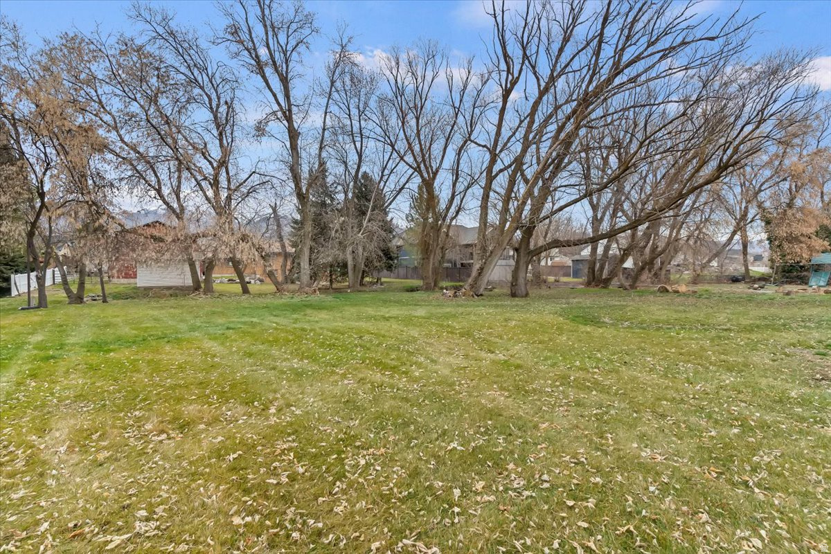 BUDDYS PLACE - Residential