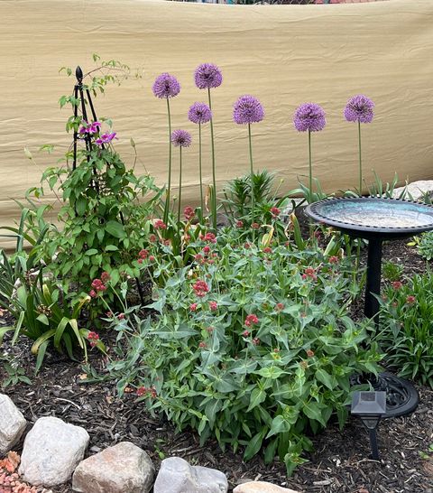 Tiny photo for 380 E 1500 S, Bountiful, UT 84010 (MLS # 2132806)