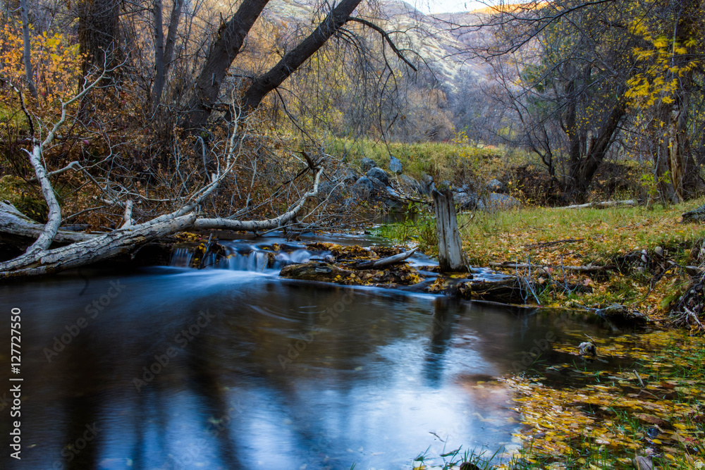 UPPER WHITTEMORE - Land