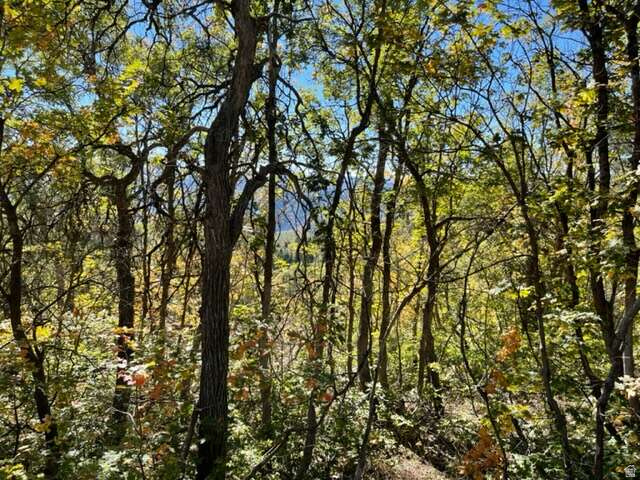 UPPER WHITTEMORE - Land