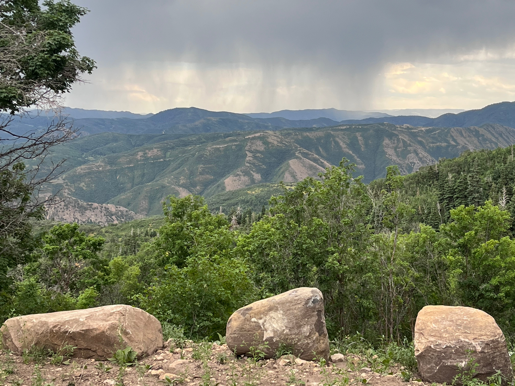 UPPER WHITTEMORE - Land