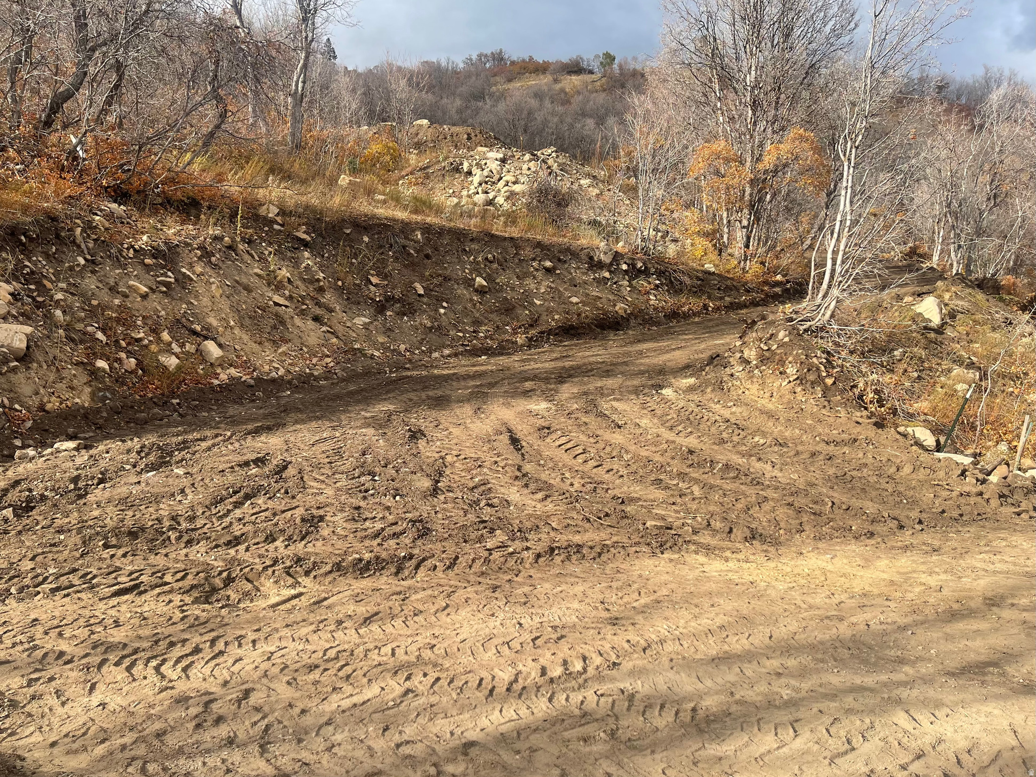 UPPER WHITTEMORE - Land