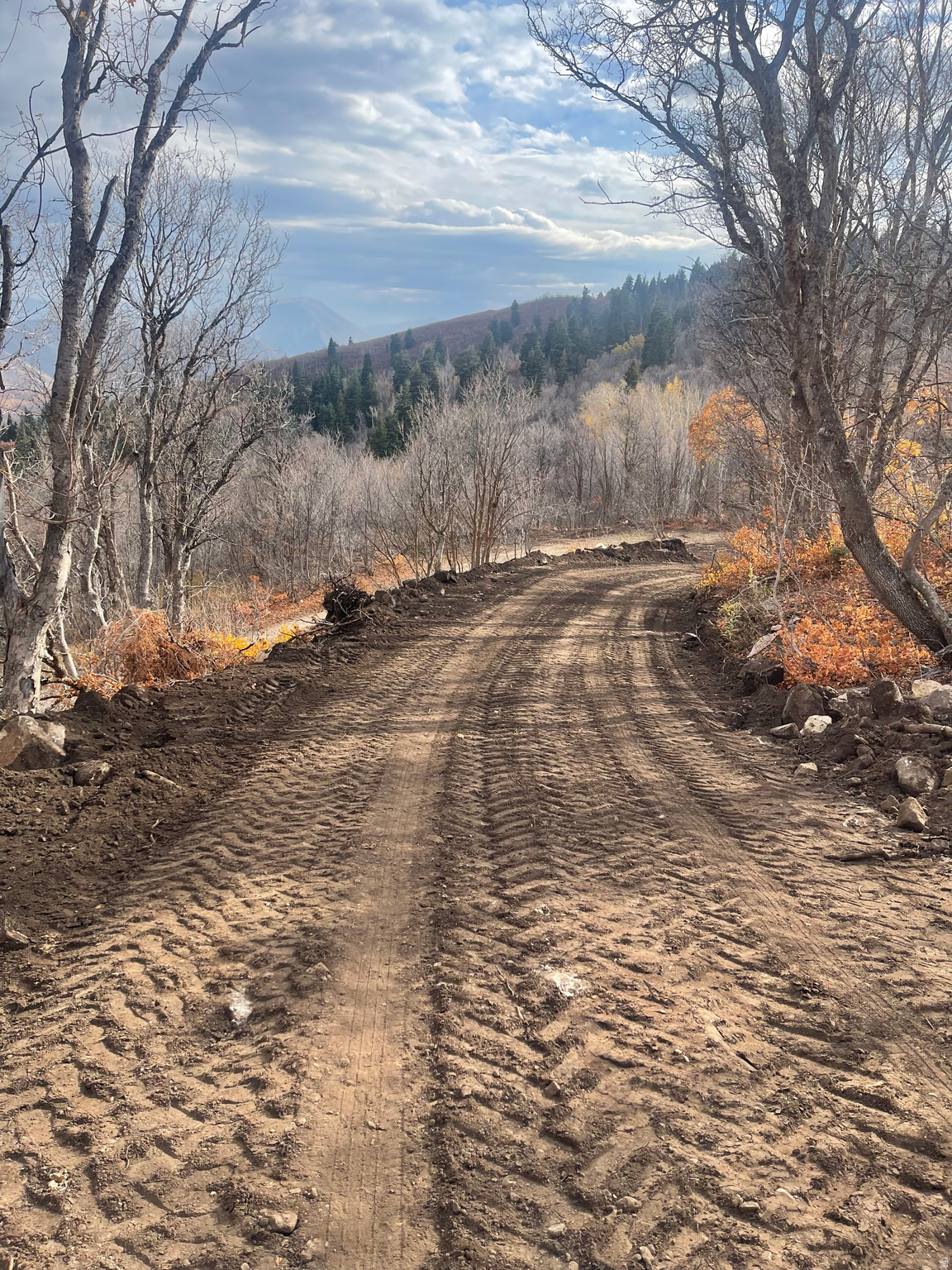 UPPER WHITTEMORE - Land