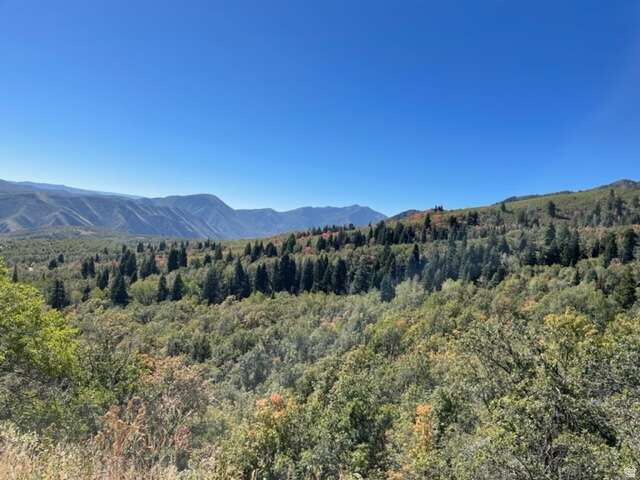 UPPER WHITTEMORE - Land