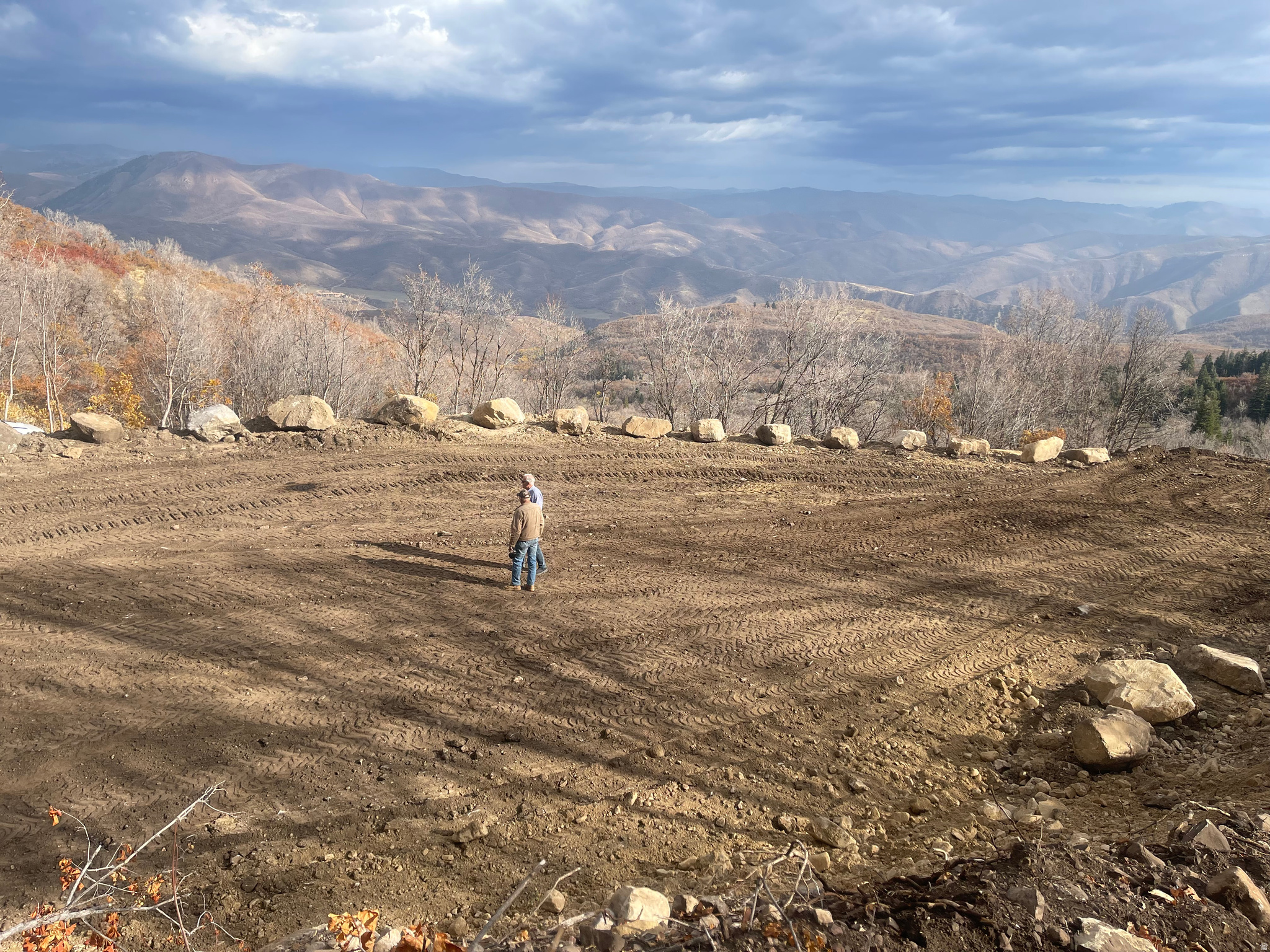 UPPER WHITTEMORE - Land