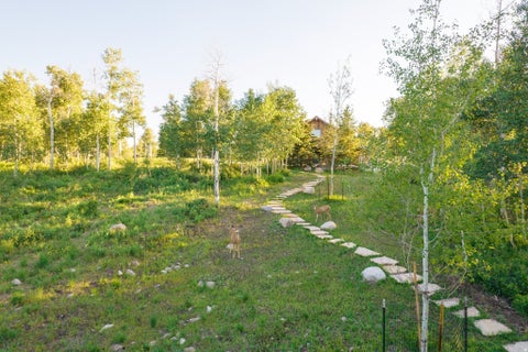 Tiny photo for 11042 E WILD ELK MDW, Heber City, UT 84032 (MLS # 2168942)