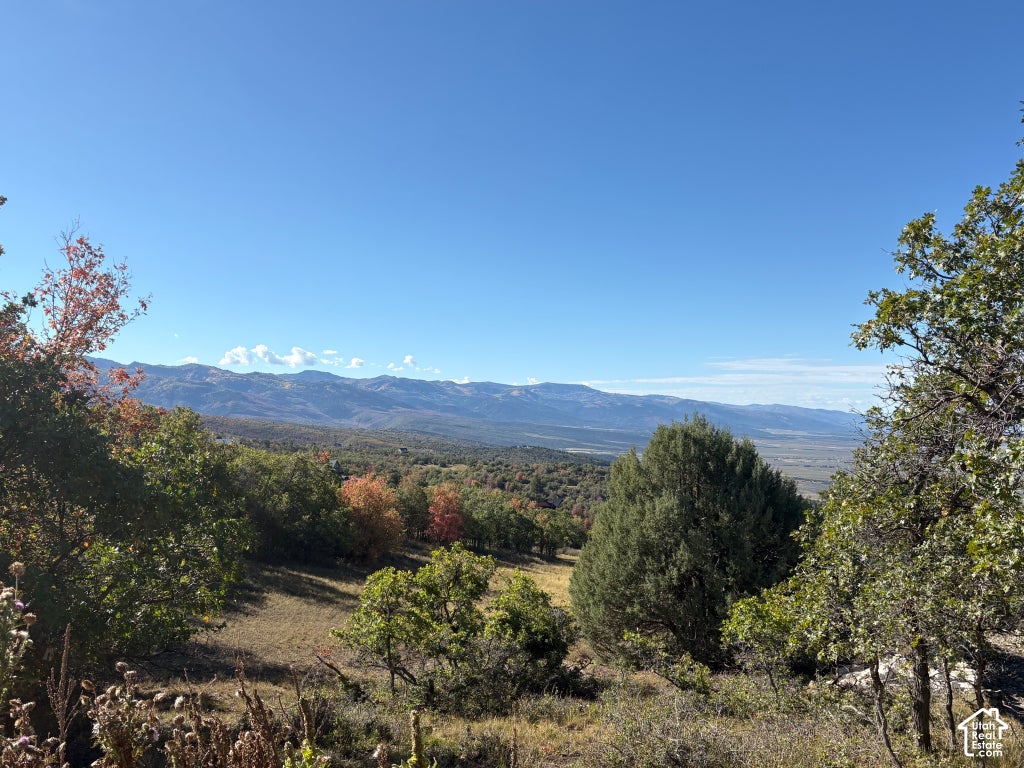 Photo of 23220 N JUNIPER #M-41, Fairview, UT 84629 (MLS # 2187694)