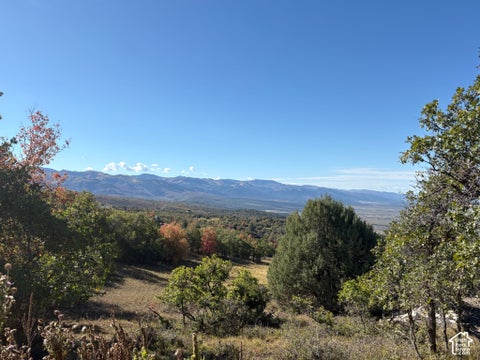 Photo of 23220 N JUNIPER #M-41, Fairview, UT 84629 (MLS # 2187694)