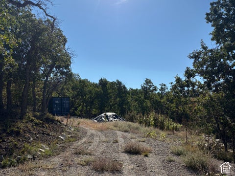 Tiny photo for 23220 N JUNIPER #M-41, Fairview, UT 84629 (MLS # 2187694)