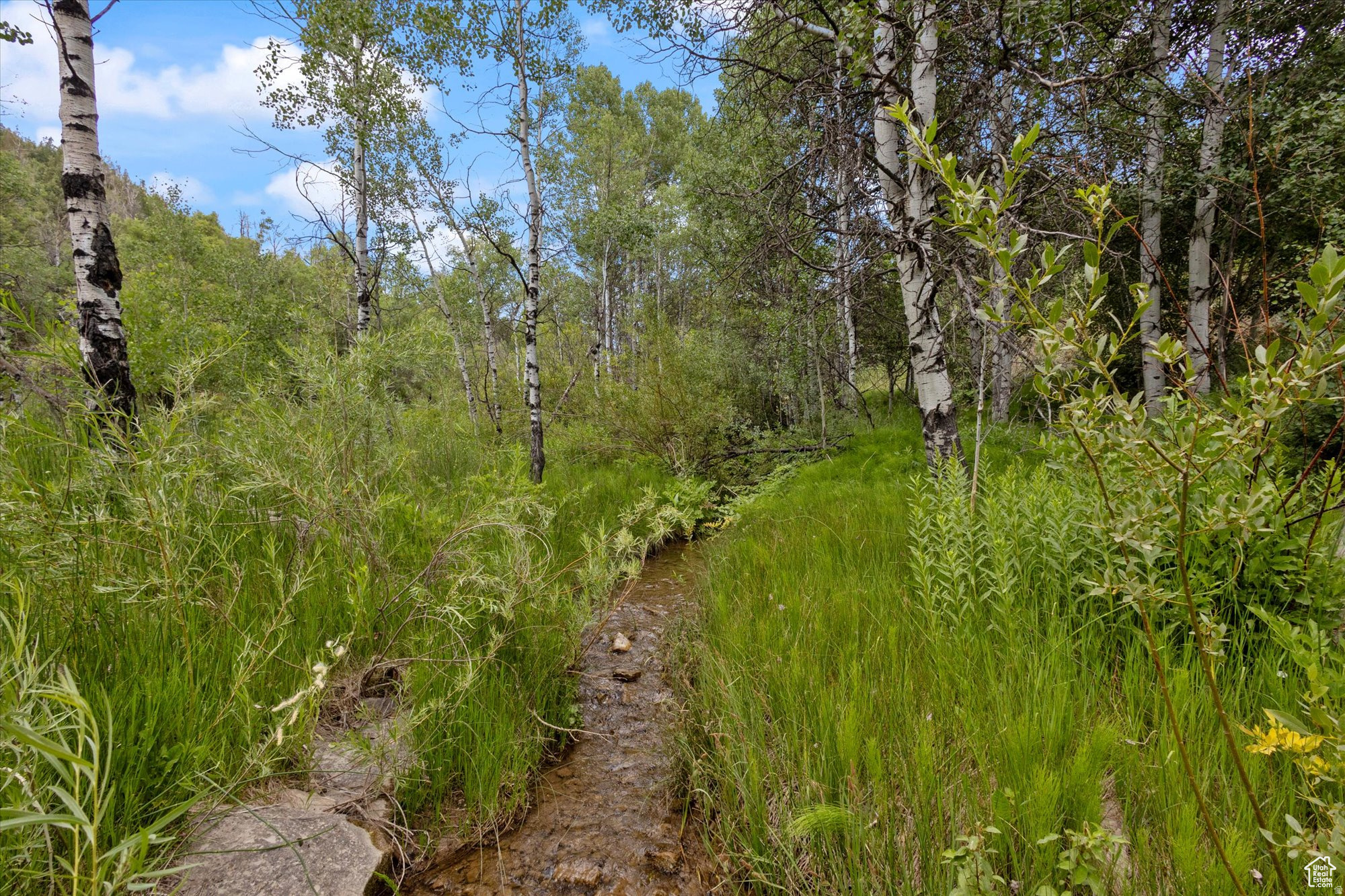 ASPEN HILLS - Land