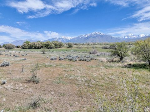 Tiny photo for 1463 W 14600 S, Bluffdale, UT 84065 (MLS # 2082470)