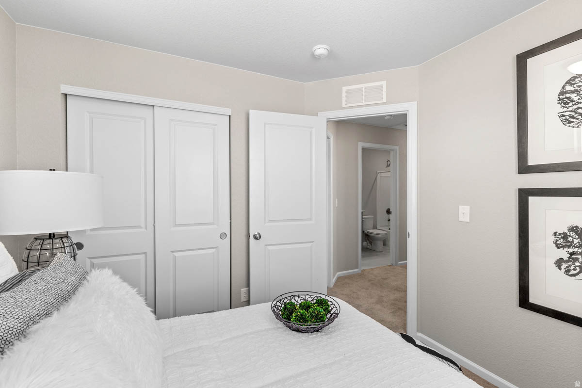 WANDER - Residential