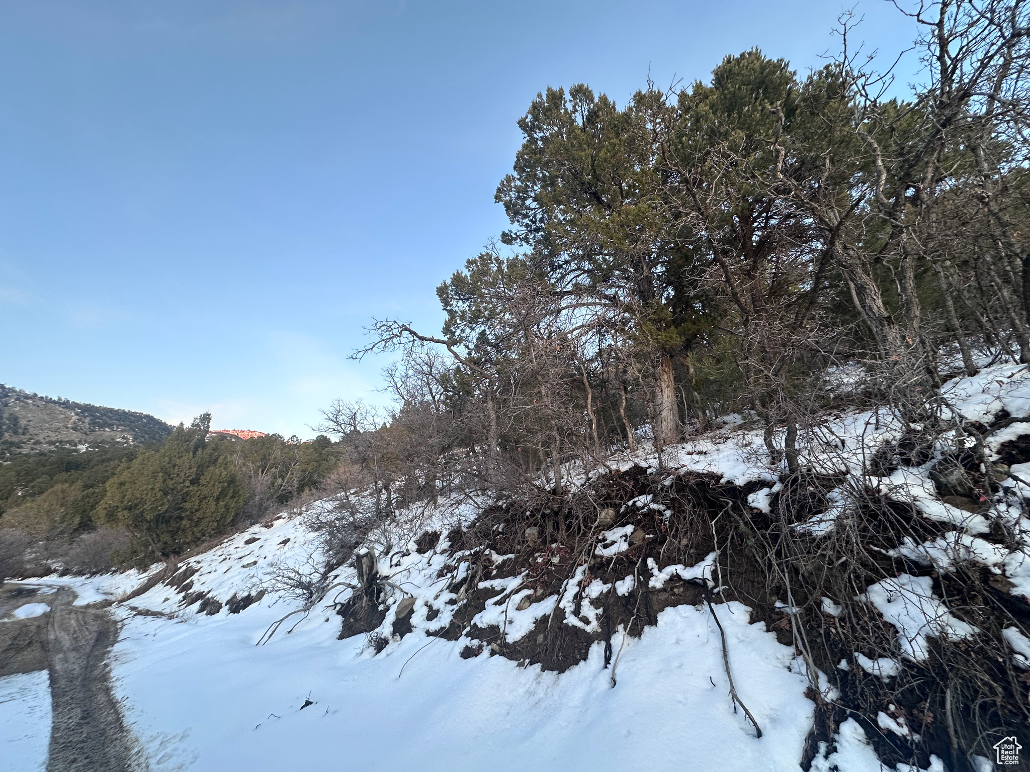 #26, Ephraim, Utah image 7