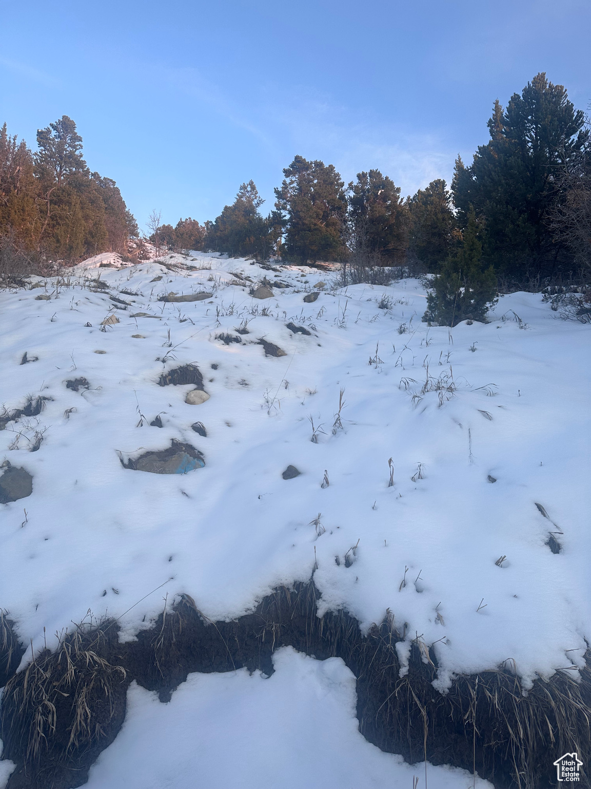 #26, Ephraim, Utah image 6