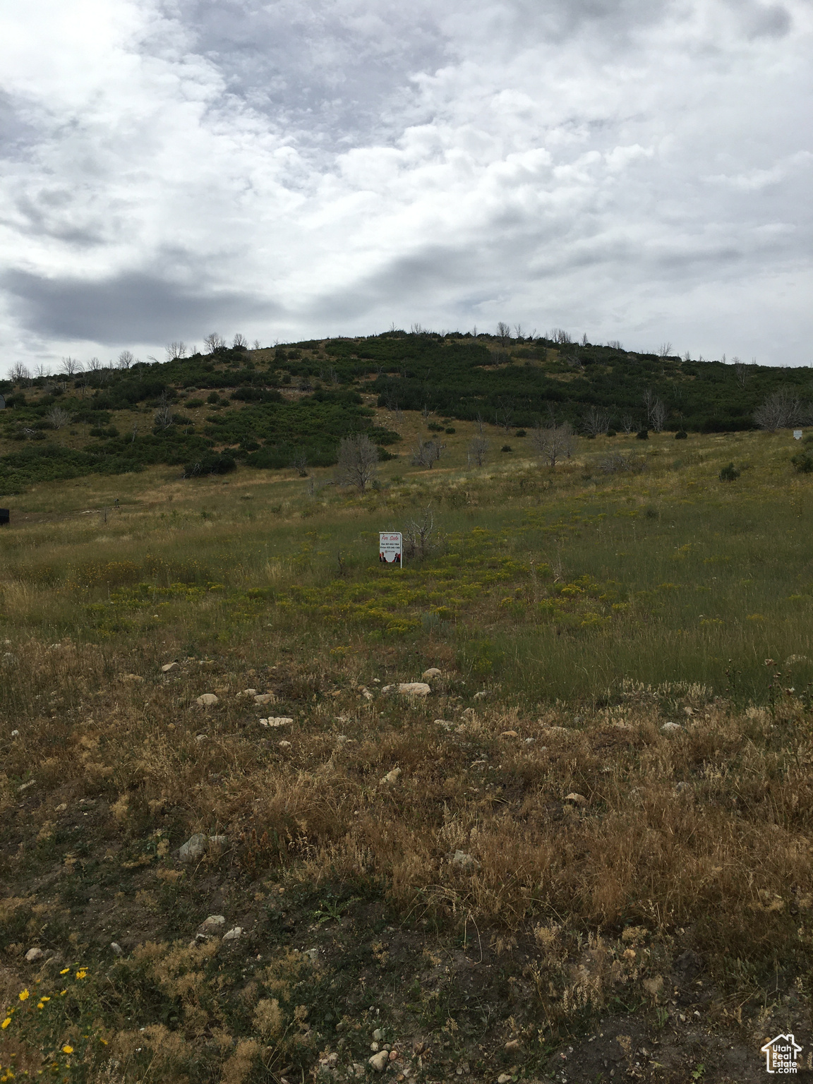 #B-26, Fairview, Utah image 2