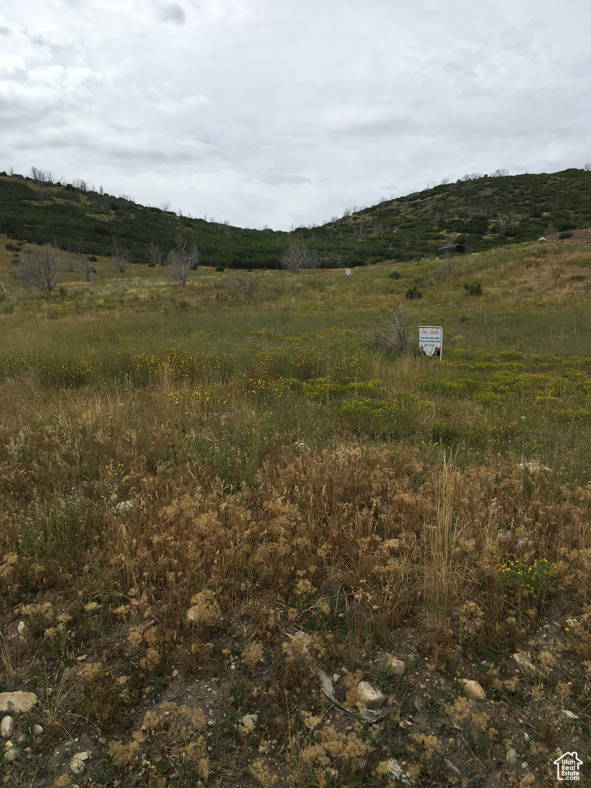 #B-26, Fairview, Utah image 3