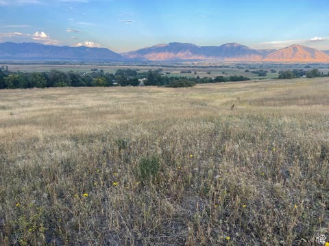 Vacant Land For Sale - 5800 W 1800<br/> Mendon, UT 84325