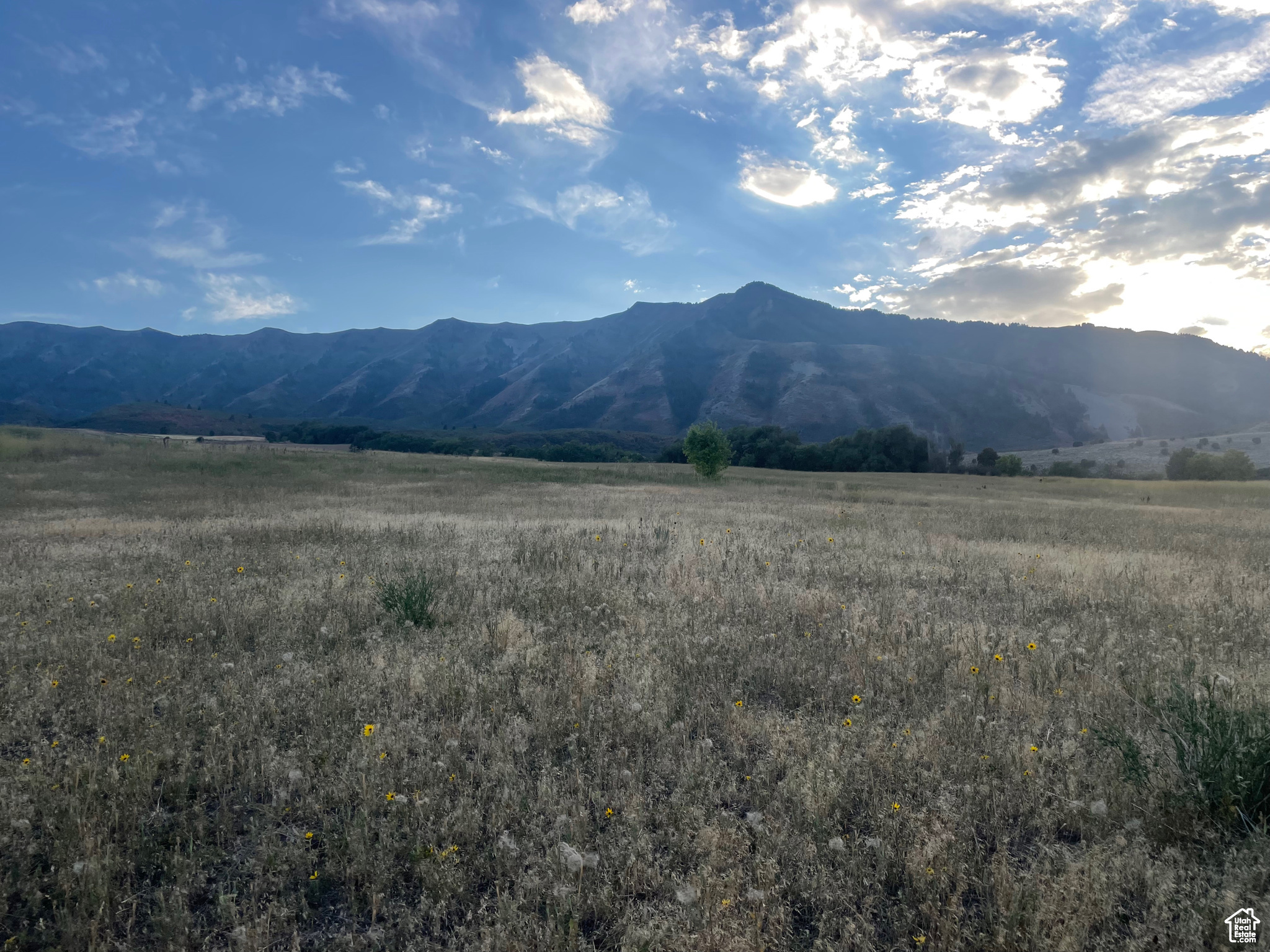 5800 W 1800, Mendon, Utah image 3