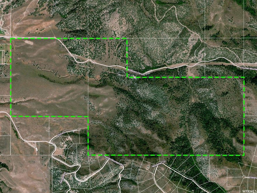 DEVELOPMENT OPPORTUNITY -  This 520 acre mountain parcel with open meadows and tree stands located less than 1.5 miles from Lava Hot Springs has HUGE investment and development potential.  Accessed via Henderson Canyon Rd and bordering Thunder Mountain Ranch, this parcel has power nearby and is subdividable.  This is a sportman's dream with frequent wildlife and four season recreation opportunities--atving, snowmobiling, horseback riding, mountain biking, or hiking--on the property or from it to the Mt Baldy public trail area. Oregon Trail passes through this land. Property is a mix of open meadows and tree covered areas with varied topography overlooking Dempsey Creek Valley and the golf course.  112 acres has been in CRP or dry farmed.  Majority of land is fenced for grazing. Stockwater rights included. Rare opportunity to own recreational zoned property this close to town.